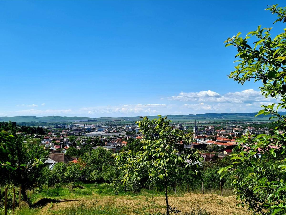 Bella Vista Bungalow Turda Eksteriør billede